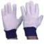 Glove Blue Cuff Cotton Drill Blue Mens