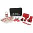 ELECTRICIAN'S MINI LOCKOUT KIT